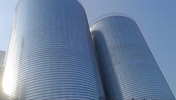 蒲城2座混凝土高架卷板仓